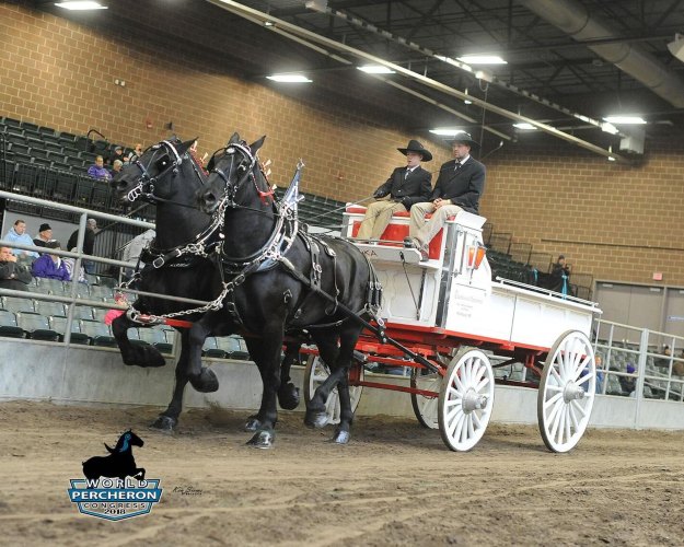 World Percheron Congress