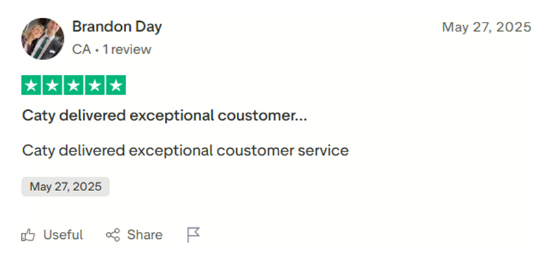 Customer review screenshot